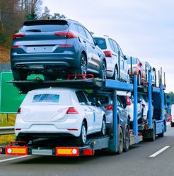 Vehicle Import U.S. Customs Clearance Release - TSI New Jersey